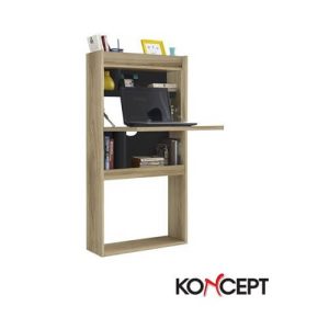 Portable Working/Study Desk