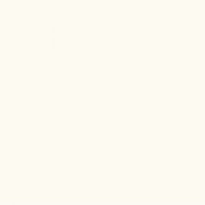 SP6200T Porcelain Floor Tile