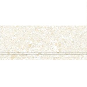 HA2065 Porcelain Step Tile