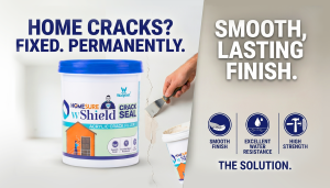 WShield Crack Seal Paste