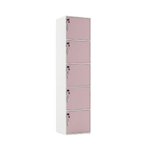 Addison Pink Wooden Locker