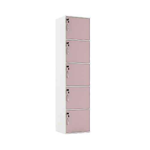 Addison Pink Wooden Locker
